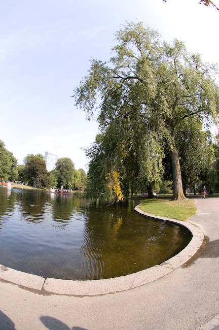 21 / 50